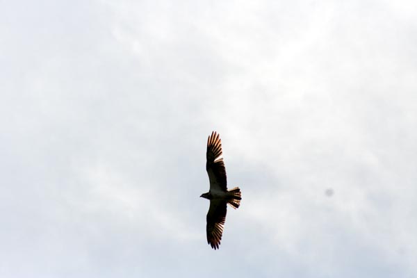 Killikus&reg; Fotographie